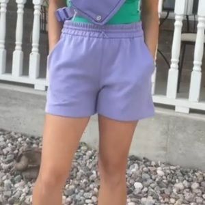 SoftStream Shorts Dark Lavender NWOT